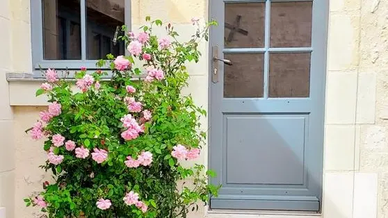 Le Clos des Glycines_4