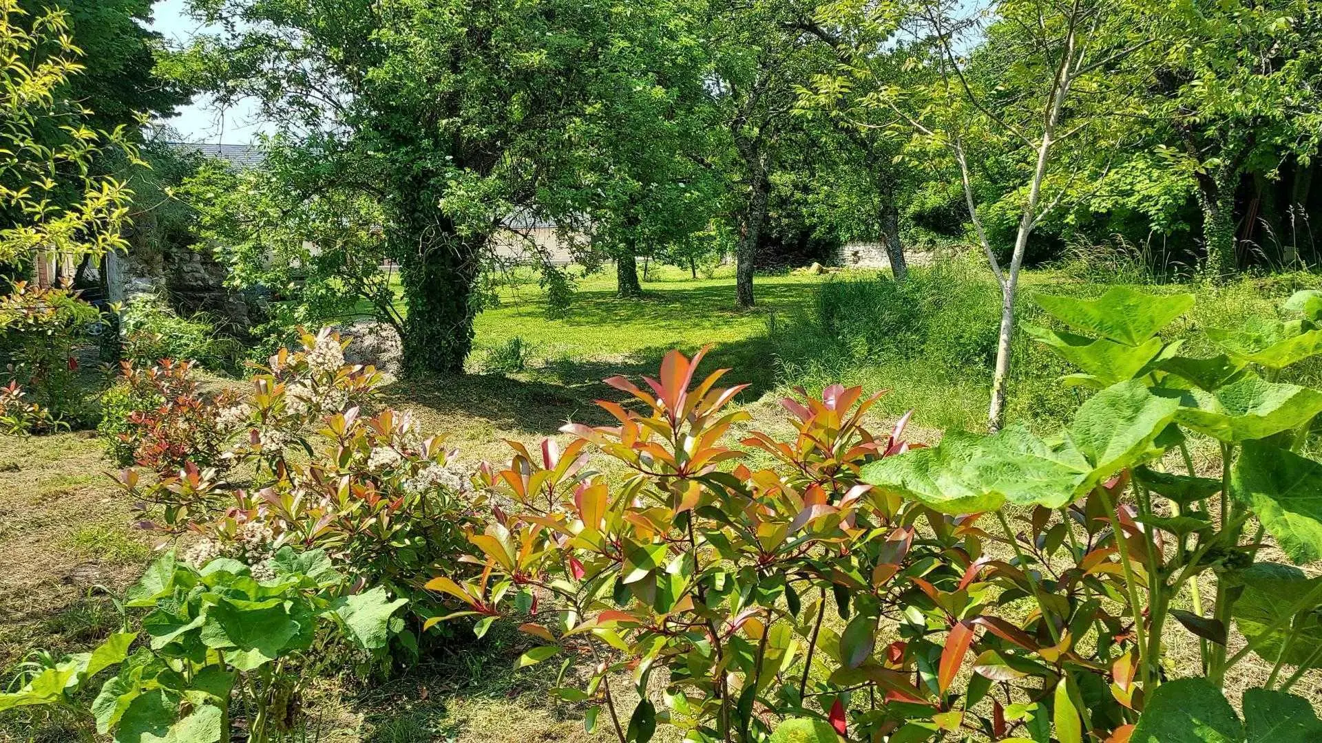 Le Clos des Glycines_9