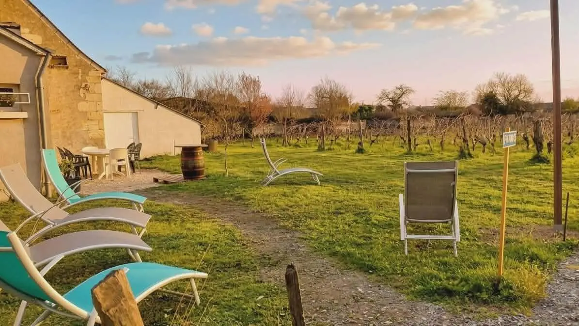 Le Petit Clos de Louis_7