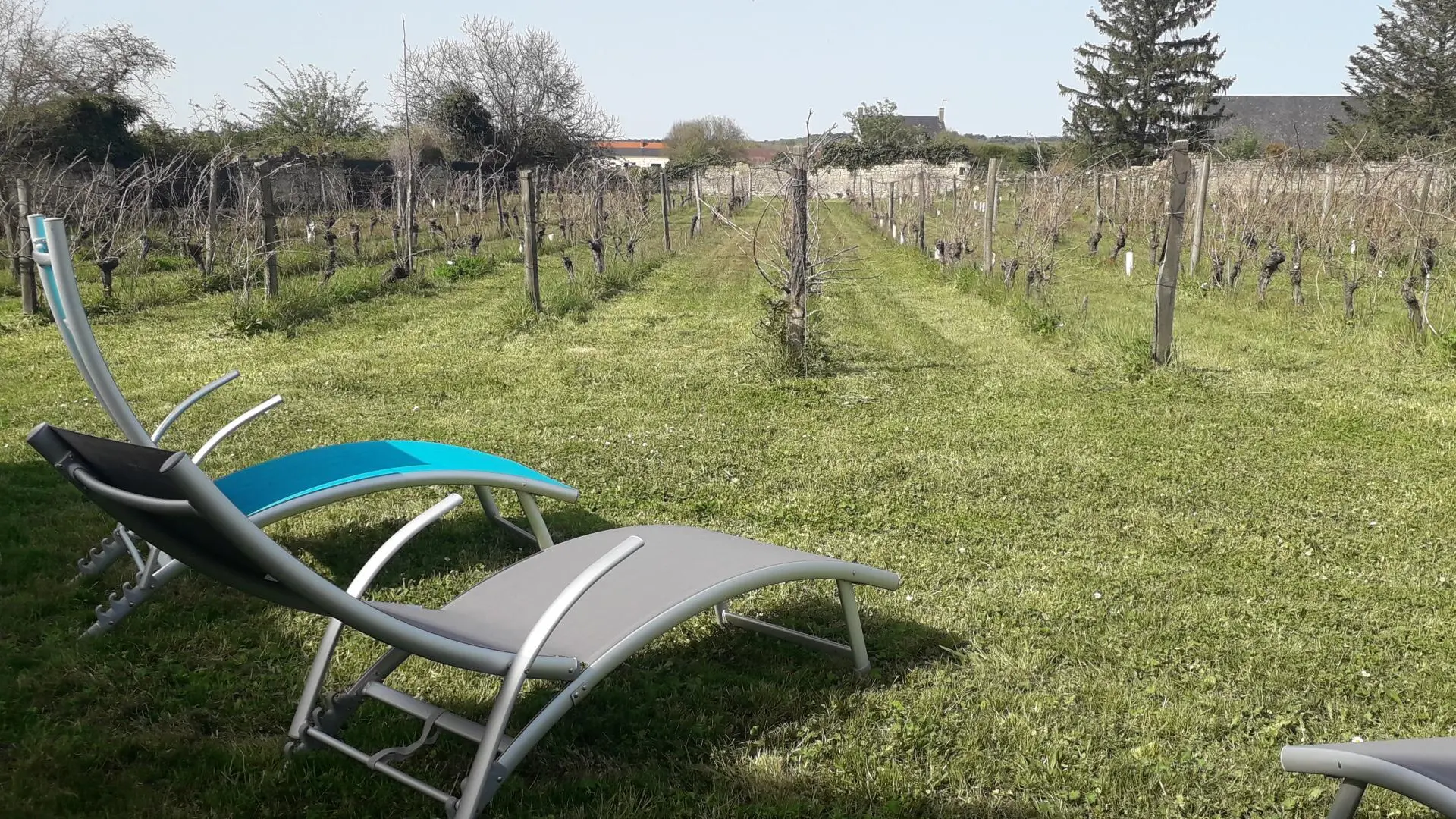 Le Petit Clos de Louis_12