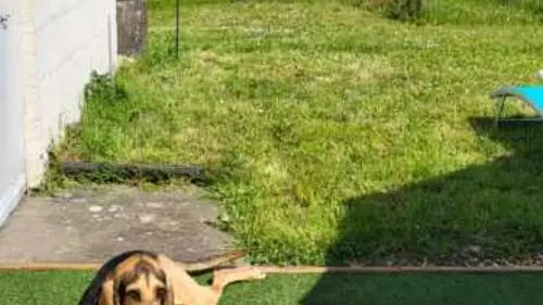 Le Petit Clos de Louis_14