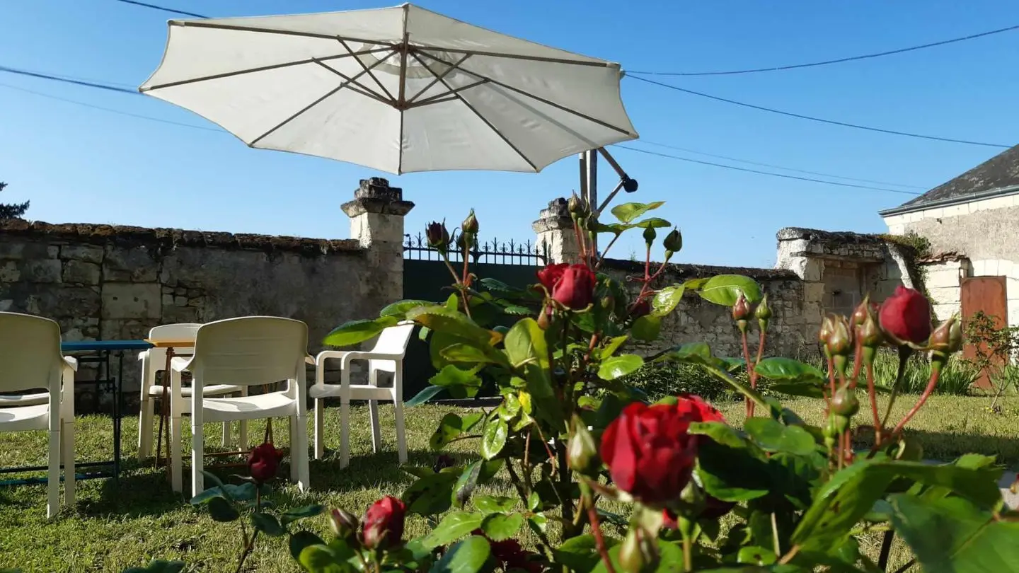 Le Petit Clos de Louis_2