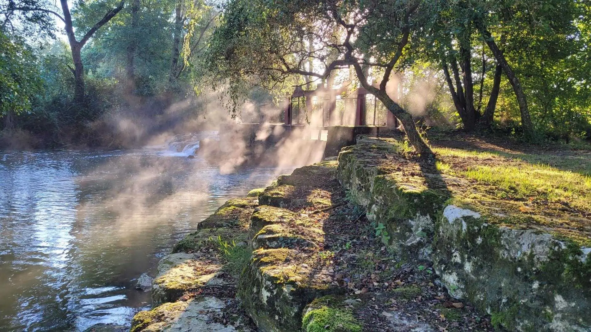 Le Moulin des Foulons_2