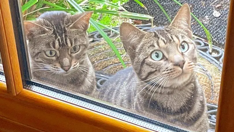 Le Moulin des Foulons_6