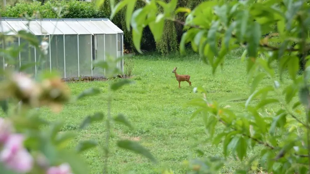 Gîte de la Fontaine_12