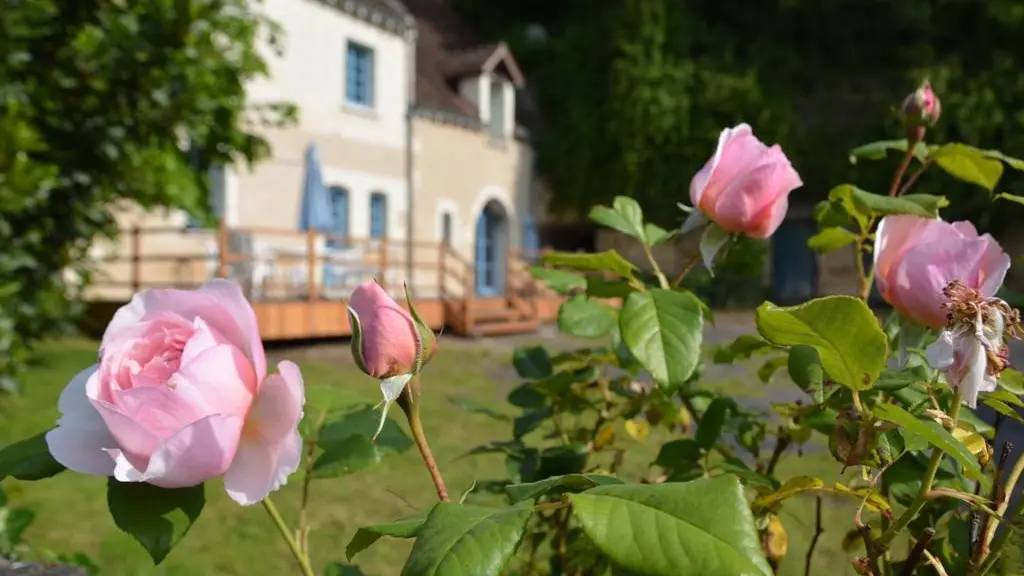 Gîte de la Fontaine_1