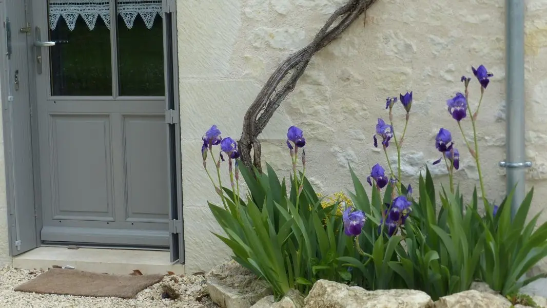 Gite de la Corne de Cerf_14