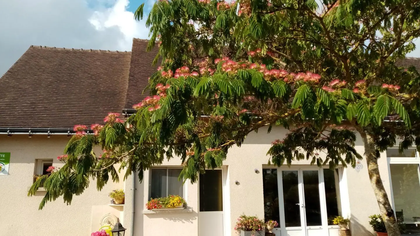 La Chèvre Verte_2