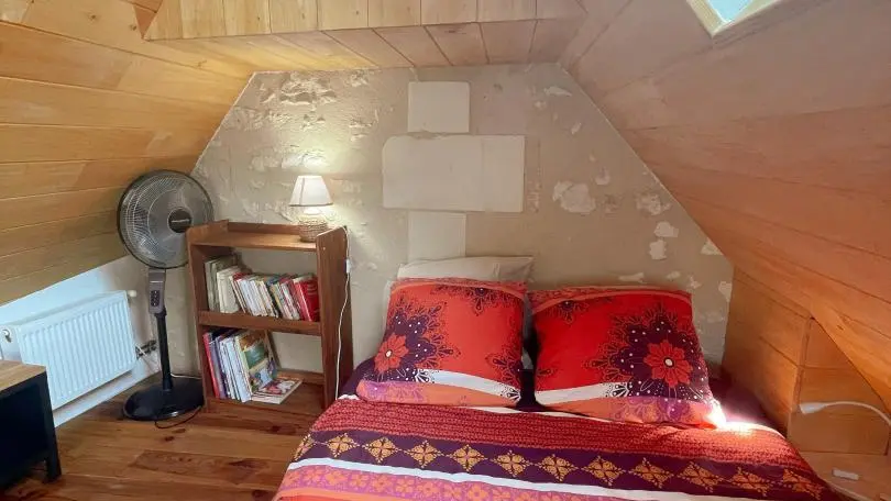 Le Point de Vue de Léonard_11