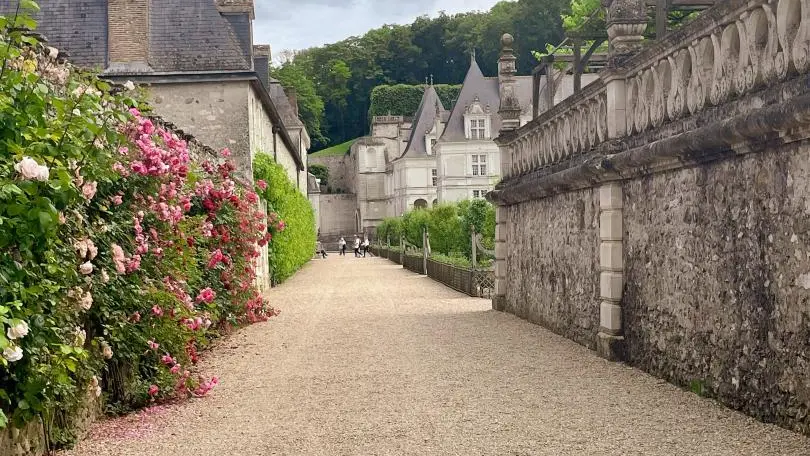 Gîte des Colombes_5