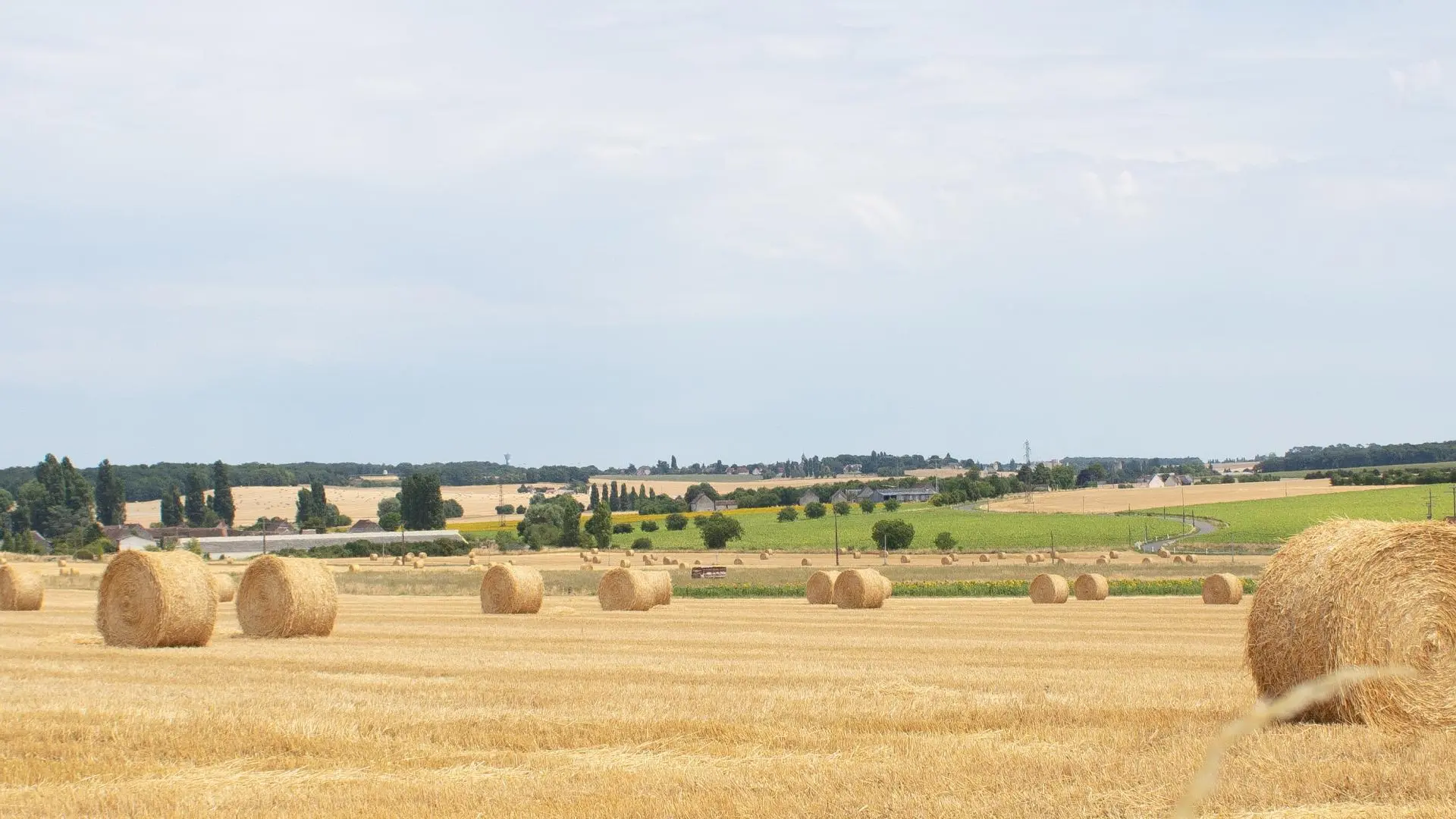 Le Clos Bodinais_14