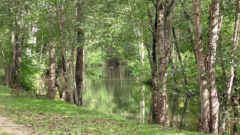 Gîte du Moulin Douzil_13