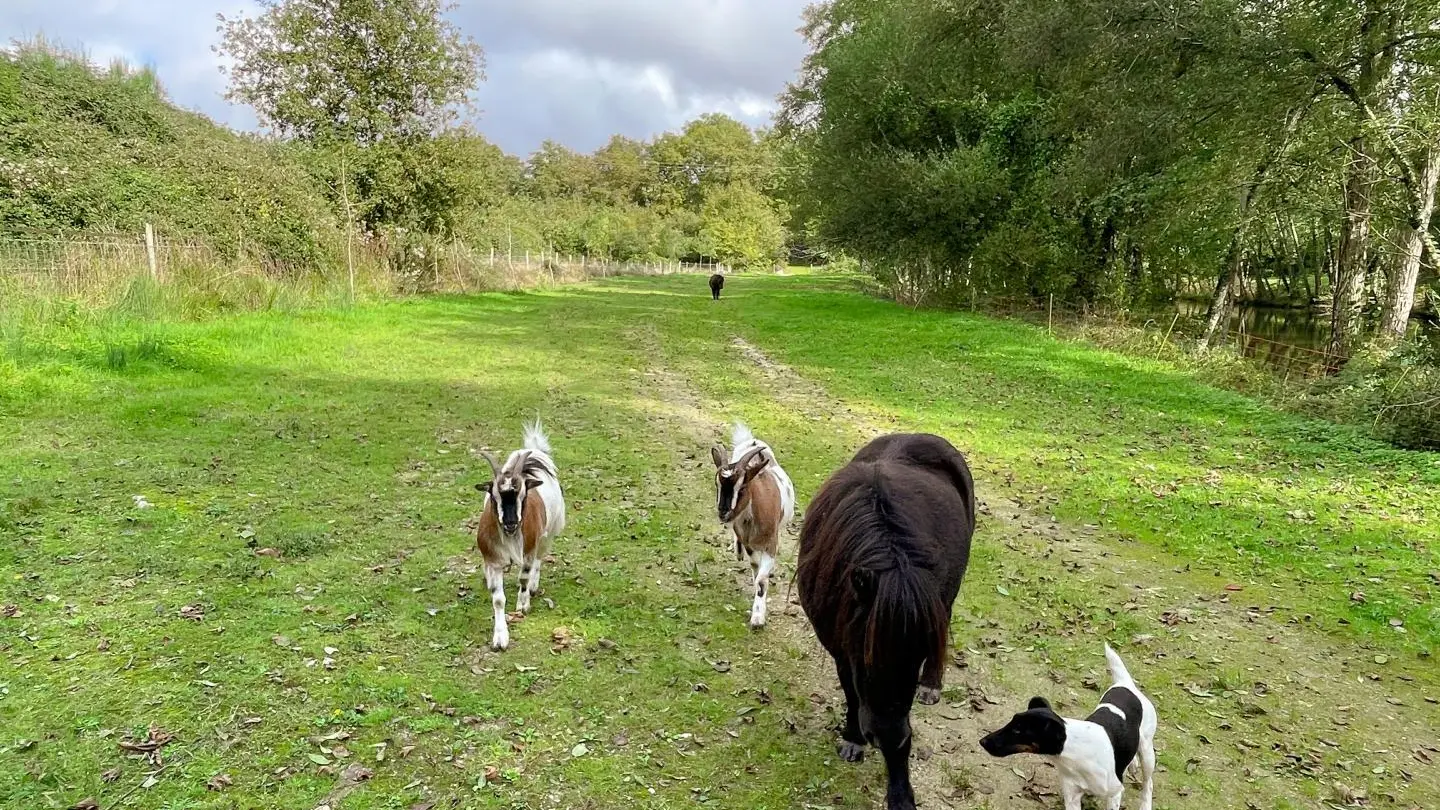 Gîte du Moulin Douzil_10