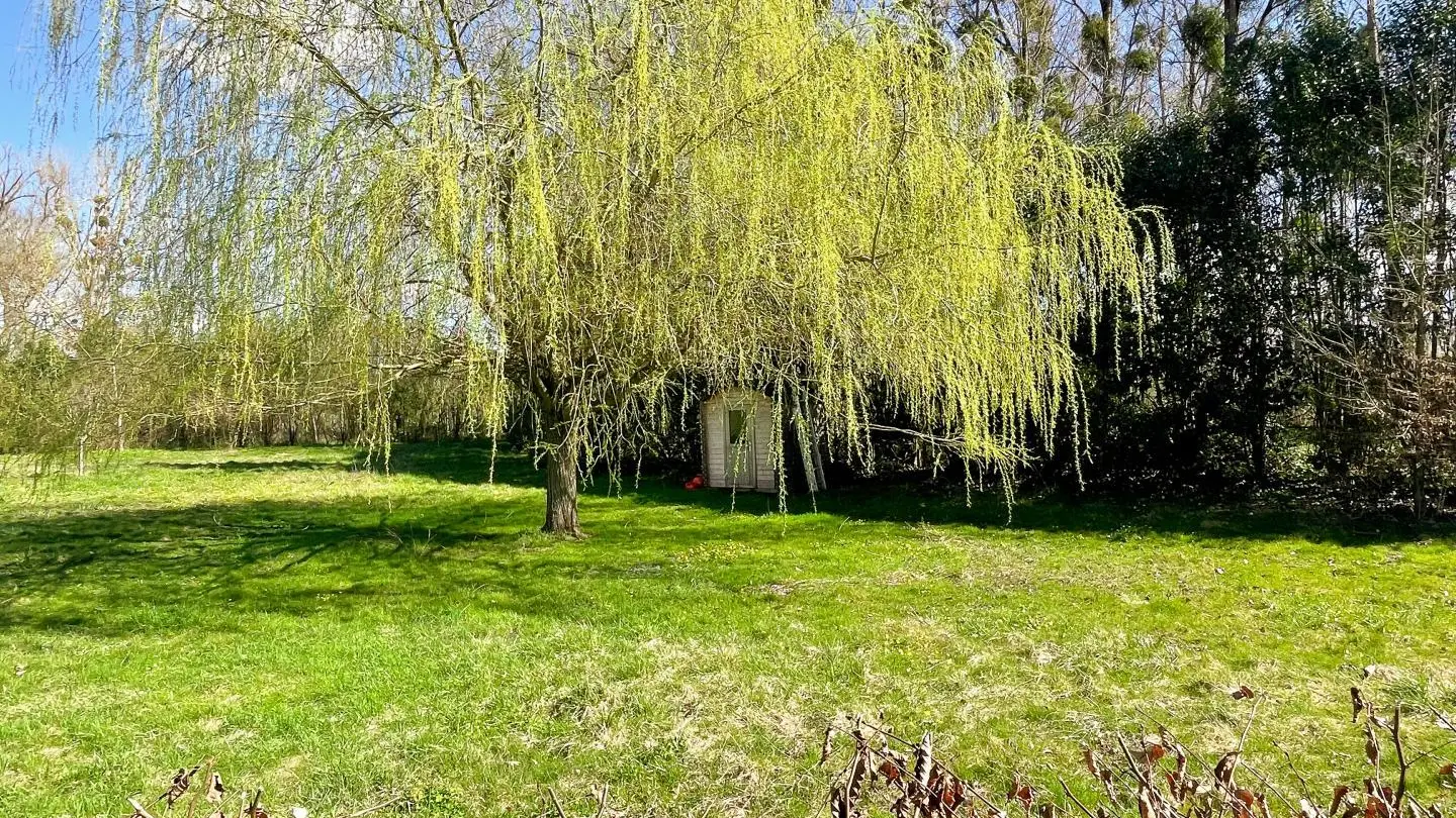 La Ruche Enchantée_3