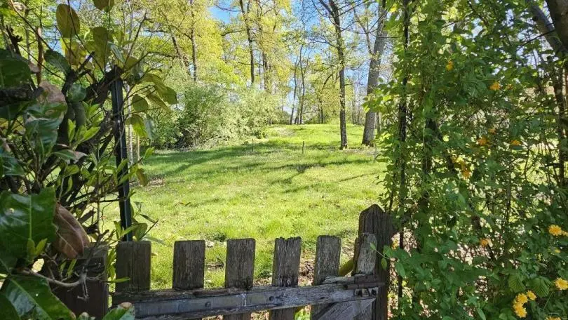 Gîte Le P'tit Bois d'Amour_15