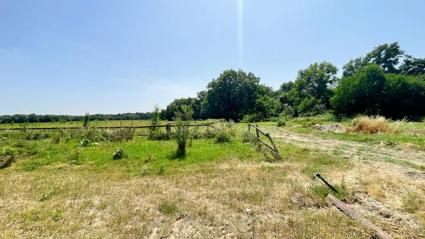 Le Gîte des 1000 Plantes_3