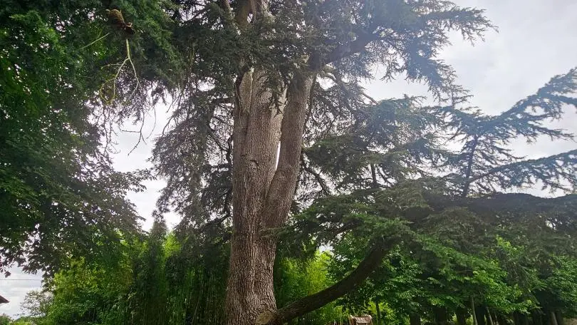 Le bois Chaudron_5