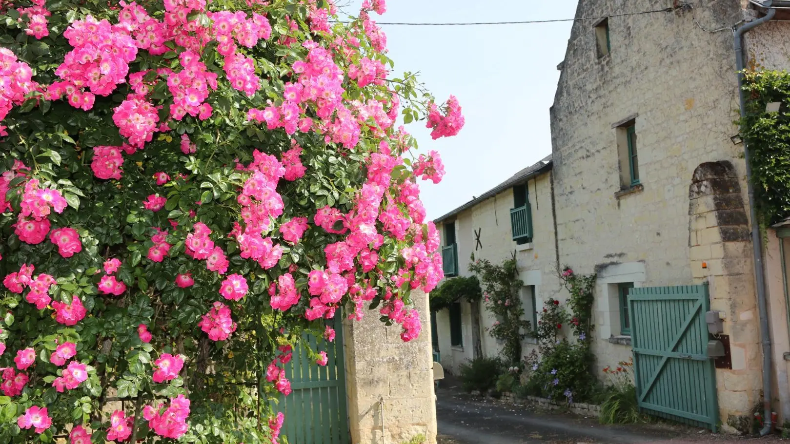 Le Clos du Noisillet_3