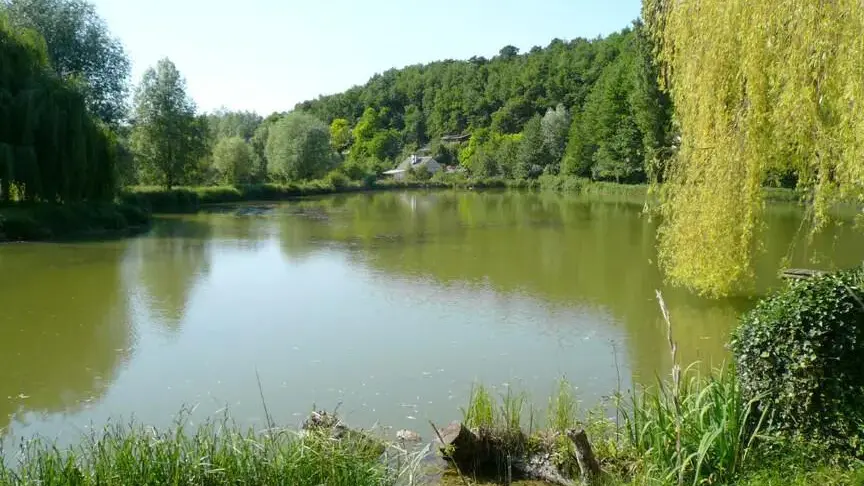 Les Canaris_2