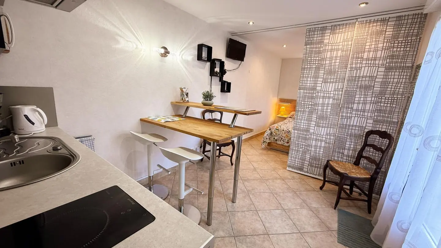 Chambre de charme & jardin en ville_9