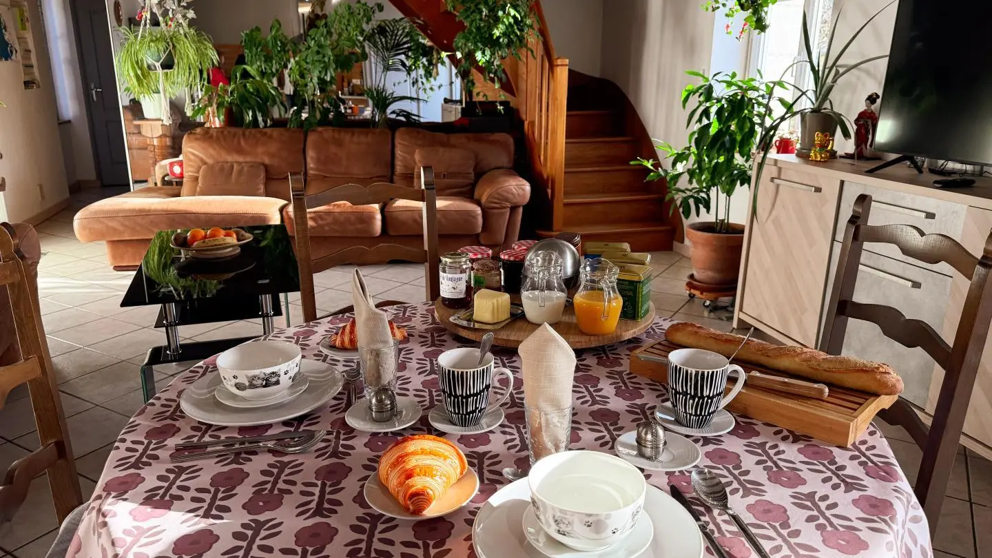 Chambre de charme & jardin en ville_4