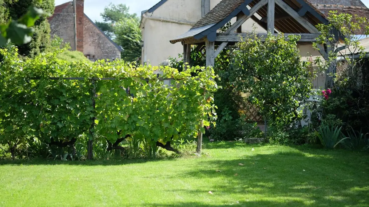 Le Grand Lochereau_3