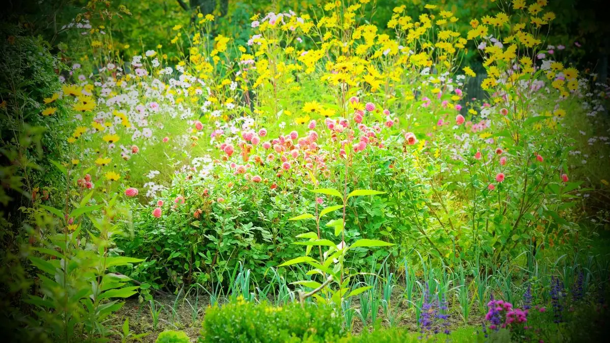 Le Grand Lochereau_4