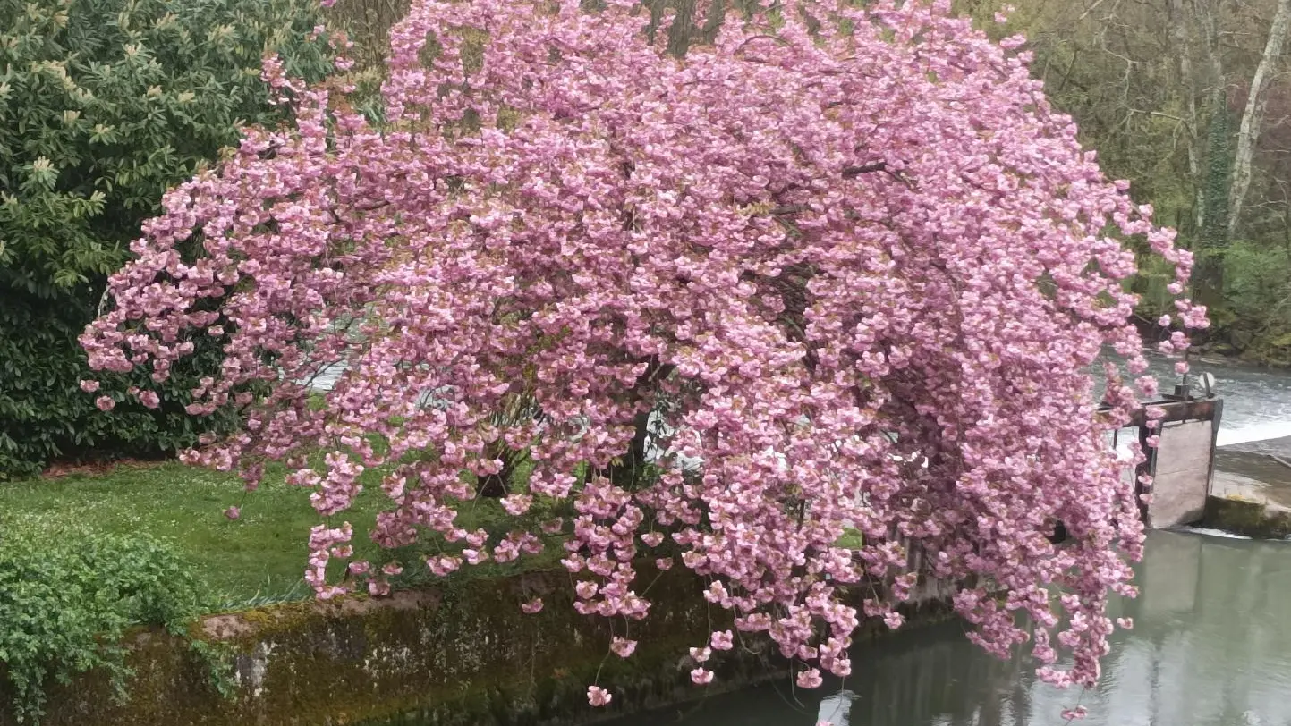 Le Grand Moulin_12