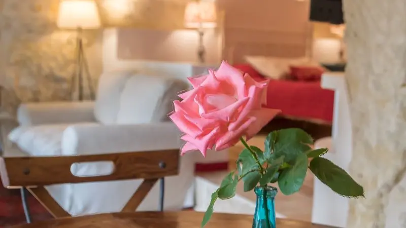 Gites des Rochères- Le Val de Loire