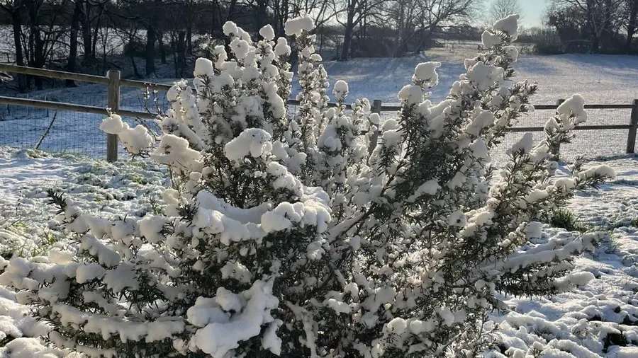 ACVL - Artannes sur Indre-Gîte les sens (2)