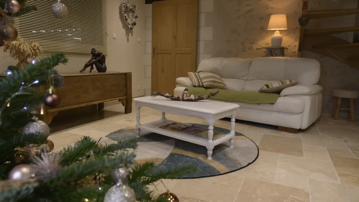 ACVL - Artannes sur Indre-Gîte les sens (5)