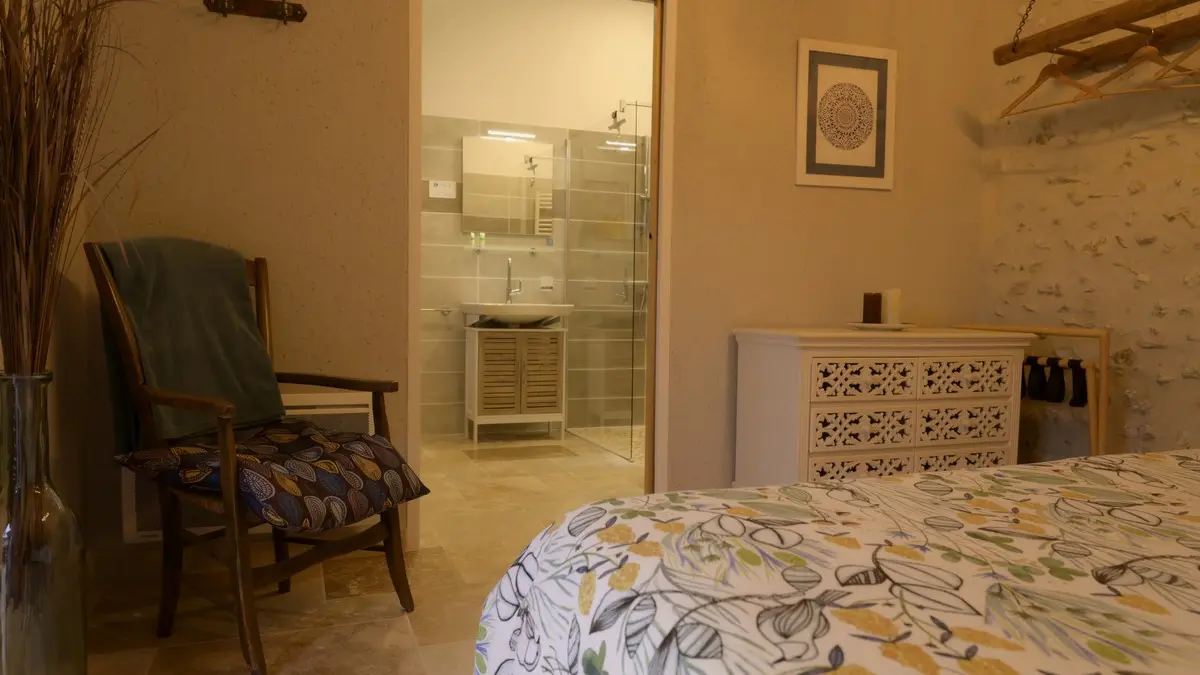 ACVL - Artannes sur Indre-Gîte les sens (6)