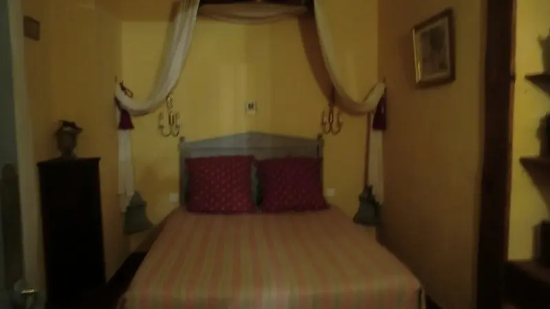 ACVL-ARTANNES-SUR-INDRE-Manoir-de-l-alouette--2-