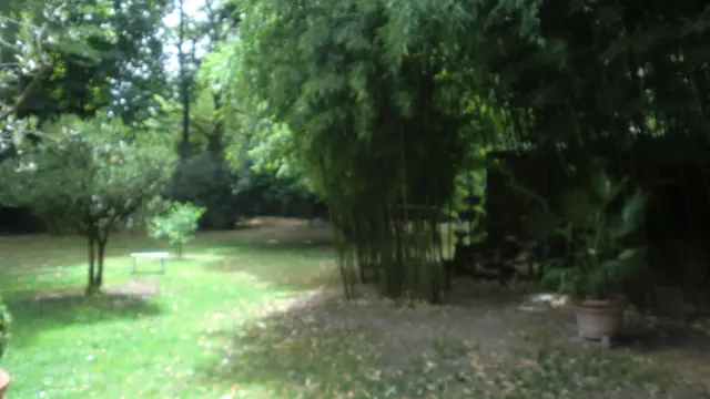 ACVL-ARTANNES-SUR-INDRE-Manoir-de-l-alouette--8-