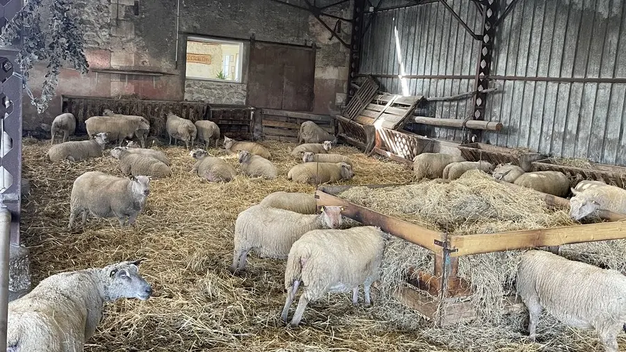 ACVL-Artanes-sur-indre - Le gîte les sens ciel - Christelle Luijjks 11.02 (4)