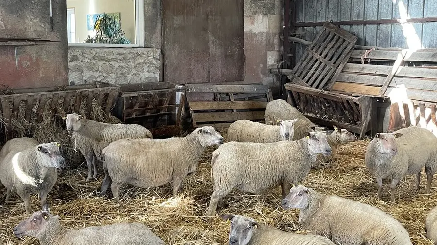 ACVL-Artanes-sur-indre - Le gîte les sens ciel - Christelle Luijjks 11.02 (3)