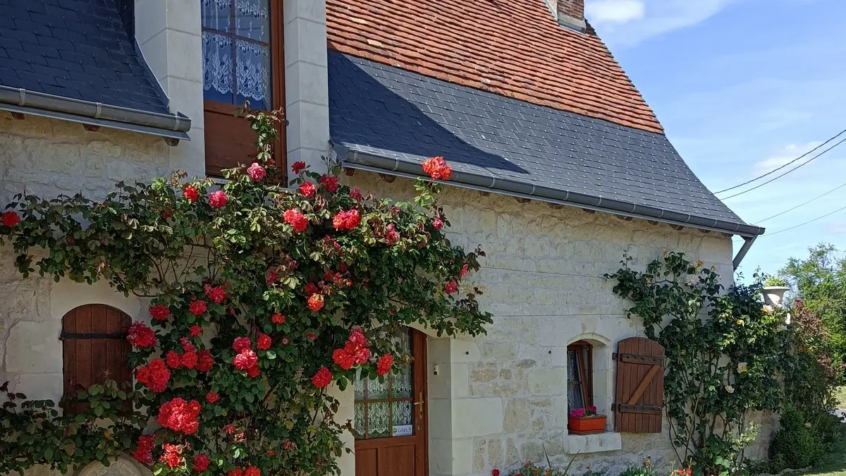 ACVL-BREHEMONT- Gîte les roses de Loire-Stab Aout 2035 (2)