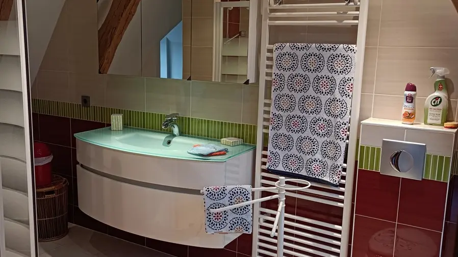 ACVL-BREHEMONT- Gîte les roses de Loire-Stab Aout 2035 (7)