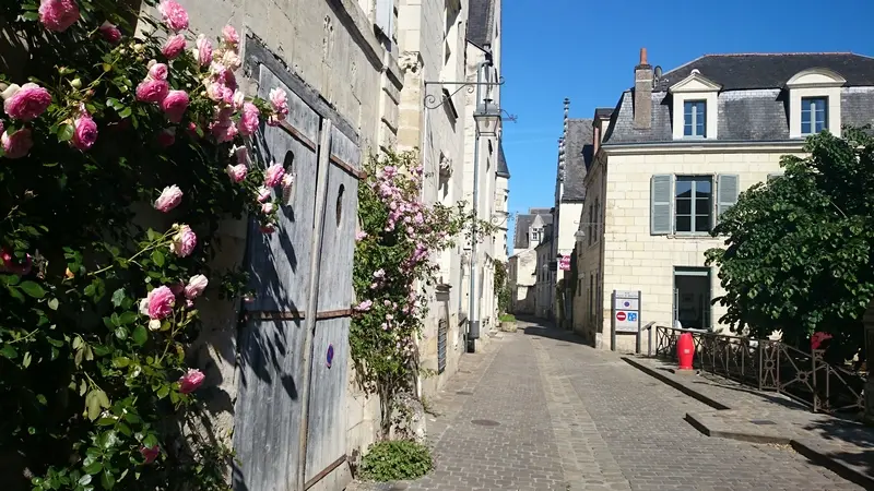 ACVL-Chinon-gite-Chambord