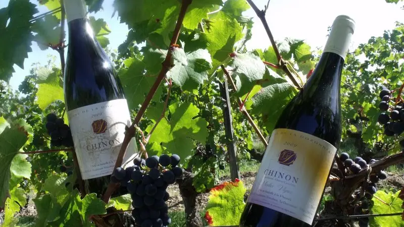 Domaine de la Dozonnerie - Chinon