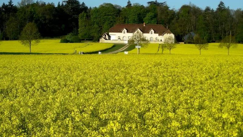 Gite St-Jean-St-Germain Domaine de la maison neuve 11