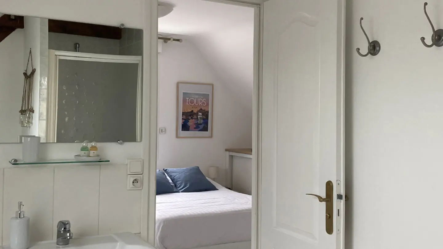 Agapanthes---Oeillets_Crédits-Jacques-Gille_Fin-15022030-(2)