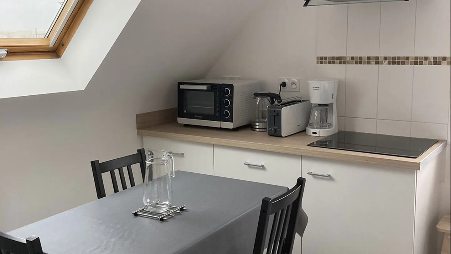 Agapanthes---Oeillets_Crédits-Jacques-Gille_Fin-15022030-(4)