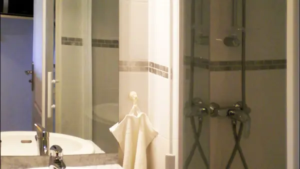 Agapanthes - Fuschias