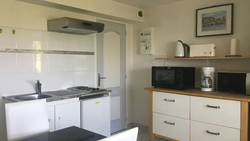 Agapanthes - Fuschias