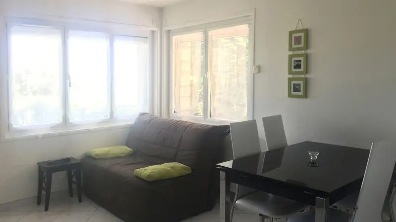 Agapanthes - Fuschias