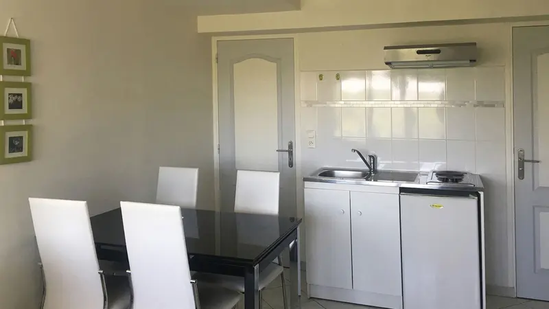 Agapanthes - Fuschias