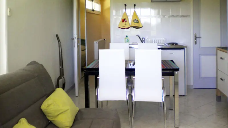 Agapanthes - Fuschias