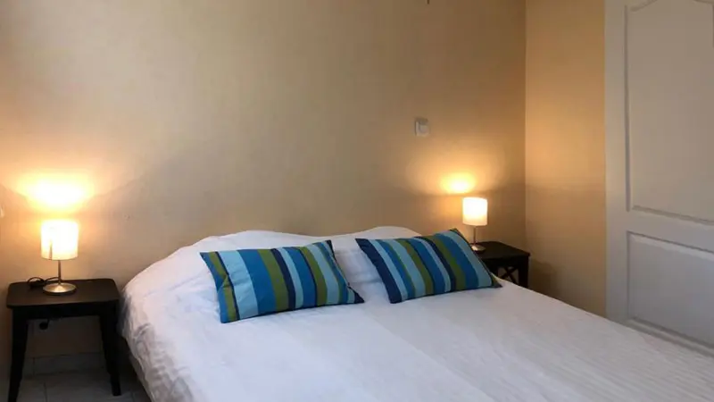 Agapanthes - Fuschias