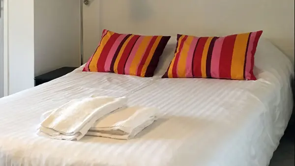 Agapanthes - Fougeres